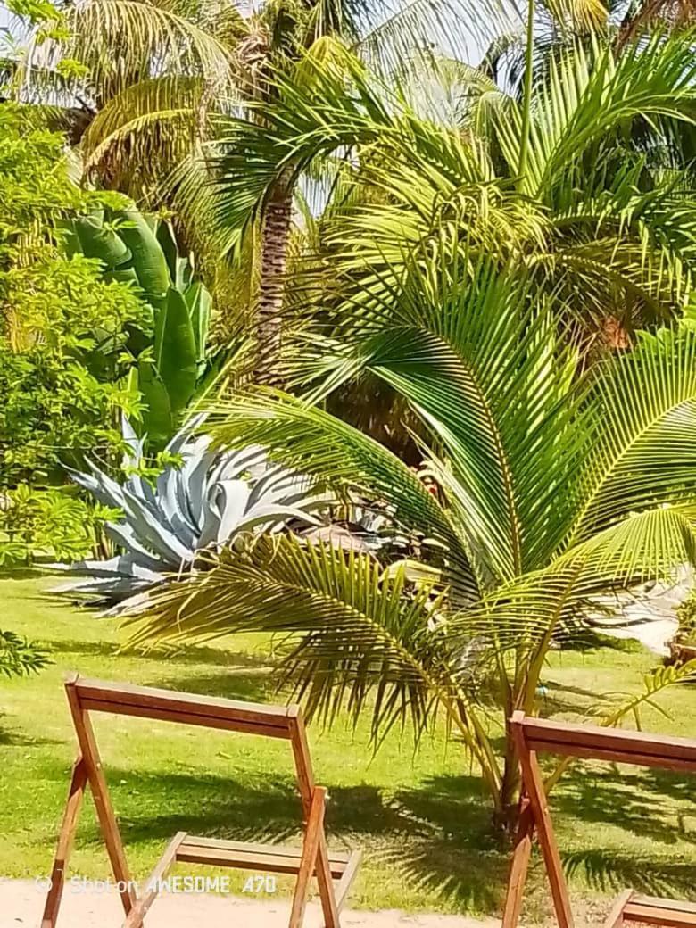 Chambre D'Hote Les Vacanciers Nianing Buitenkant foto